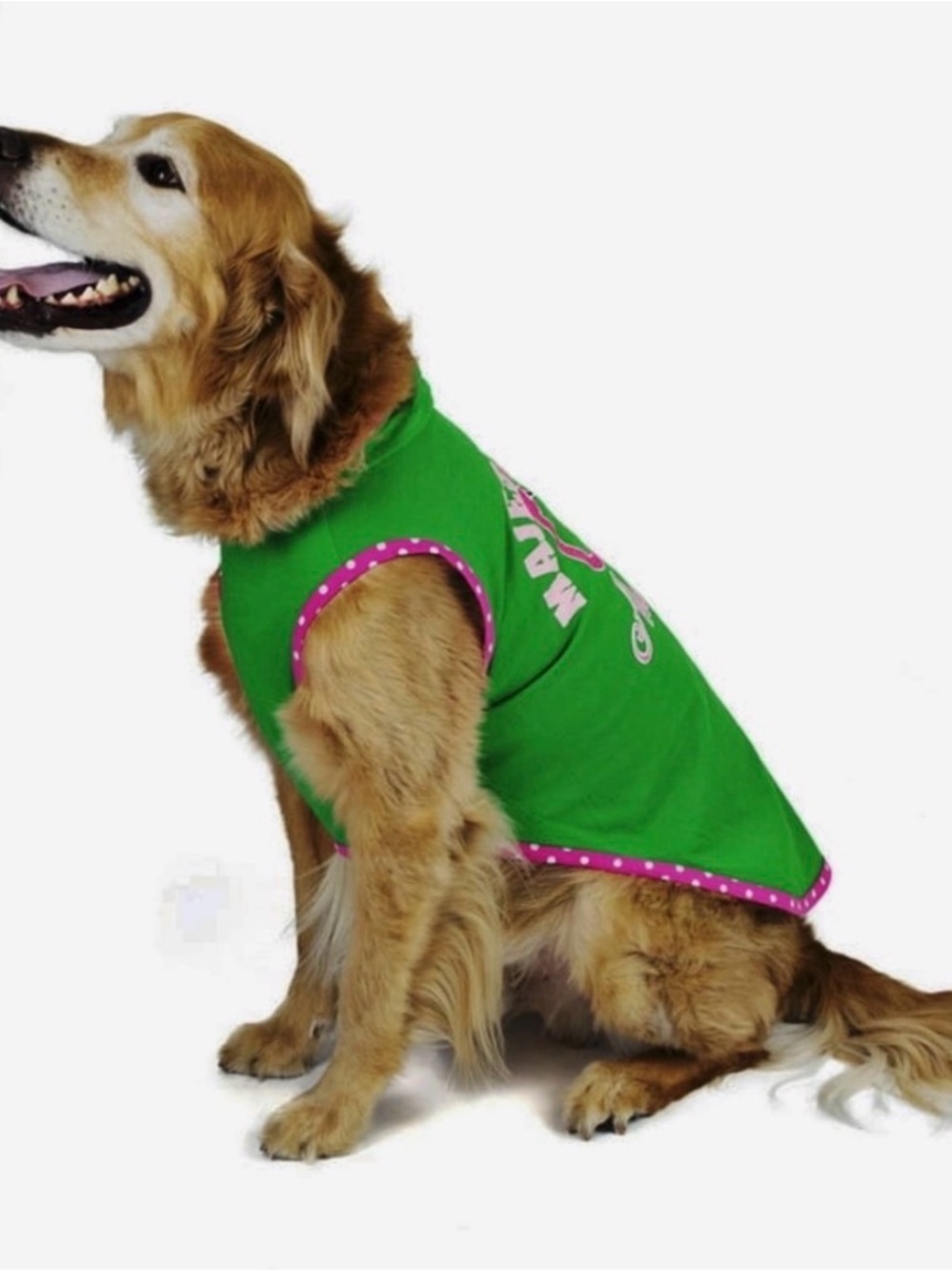 Vibrant Life Majestically Awkward Dog Hoodie - Picture 2 of 16